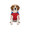 Gotoo Casaco Vermelho com Capuz para c&atilde;es, , large Indicador imagem n&uacute;mero 7