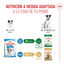 8 kg Royal Canin Mini Puppy ração para cães, , large Indicador imagem número 7