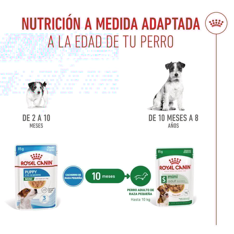 85 g Royal Canin Mini Puppy alimento h&uacute;mido em molho saquetas para c&atilde;es, , large Imagem n&uacute;mero 6