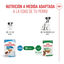 85 g Royal Canin Mini Puppy alimento húmido em molho saquetas para cães, , large Indicador imagem número 6