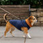 Outech Casaco Estilo Aviador Rosa e Azul para cães, , large Indicador imagem número 1
