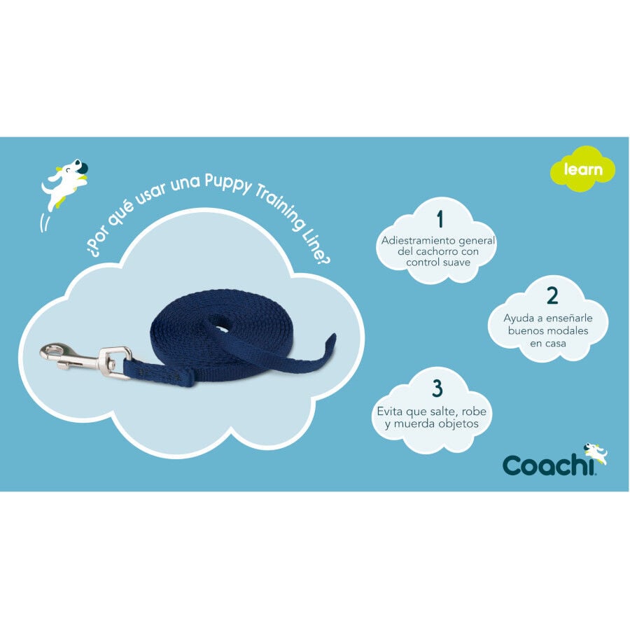 Coachi Trela de adestramento azul para c&atilde;es, , large Imagem n&uacute;mero 3