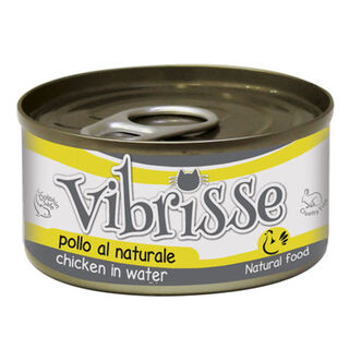 Croci Vibrisse Frango lata para gatos 