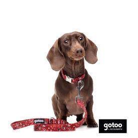 Gotoo Trela estampada de caxemira vermelha para cão