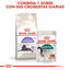 3.5 kg Royal Canin Adult 7+ Regular Sterilised ração para gatos, , large Indicador imagem número 7
