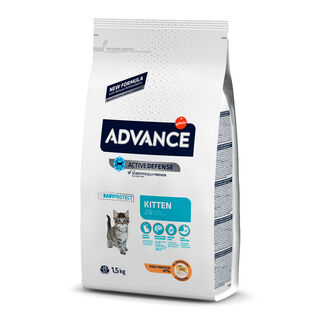 Affinity Advance Kitten Frango e Arroz para gatos