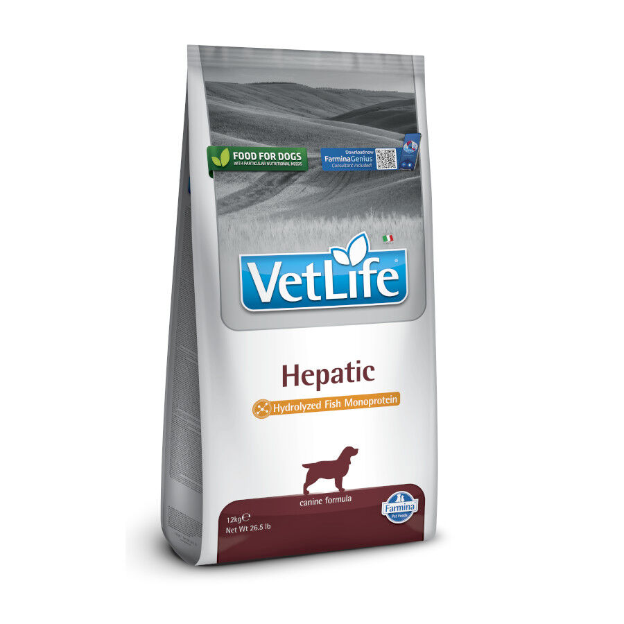 12 kg Farmina Vetlife Hepatic Monoproteico Pienso Pescado para perros, , large Imagem n&uacute;mero 1