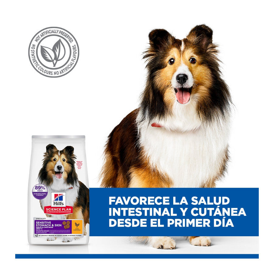 14 kg Hill's Science Plan Sensitive Stomach y Skin Adult Frango ra&ccedil;&atilde;o para c&atilde;es, , large Imagem n&uacute;mero 4