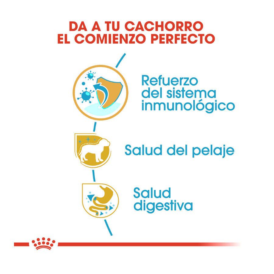 Royal Canin Puppy Yorkshire Terrier ra&ccedil;&atilde;o para c&atilde;es, , large Imagem n&uacute;mero 5