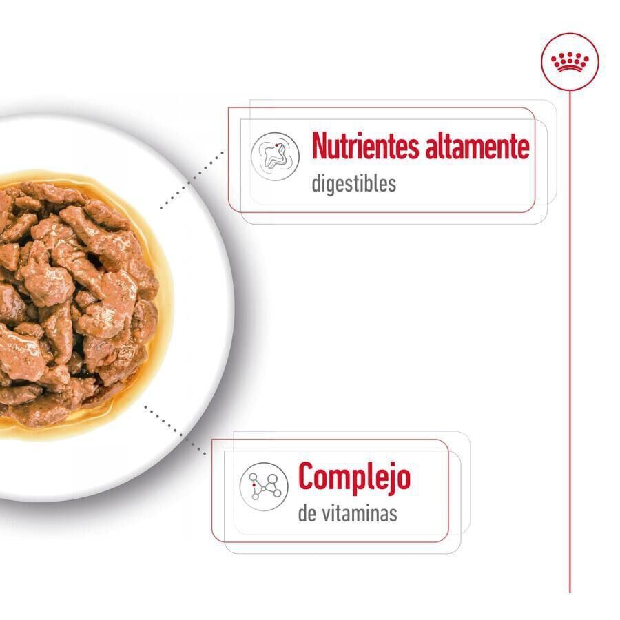 85 g Royal Canin Mini Adult saqueta em molho para c&atilde;es, , large Imagem n&uacute;mero 4
