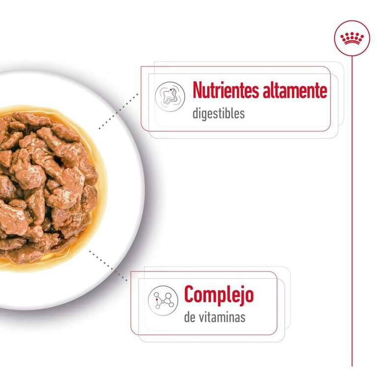85 g Royal Canin Mini Adult saqueta em molho para cães,  Imagem número 4 85 g Royal Canin Mini Adult saqueta em molho para cães, , large Imagem número 4