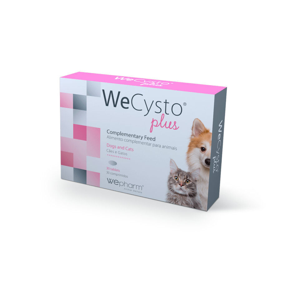 Wepharm Wecysto Plus Suplemento para gatos, , large Imagem n&uacute;mero 1
