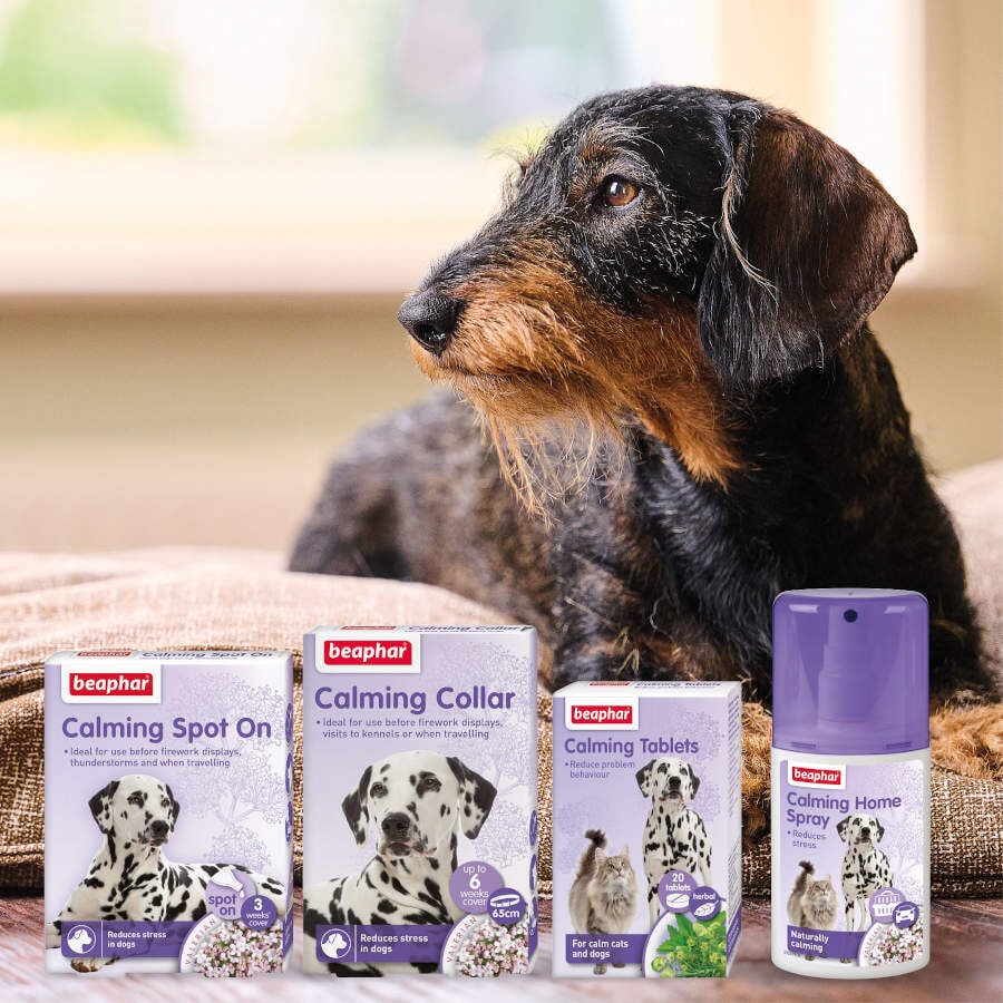 Beaphar Pipetas Relaxantes para c&atilde;es, , large Imagem n&uacute;mero 3