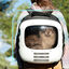 Cecotec Pumba 1800 Travel Fan Transportadora para cães e gatos, , large Indicador imagem número 9