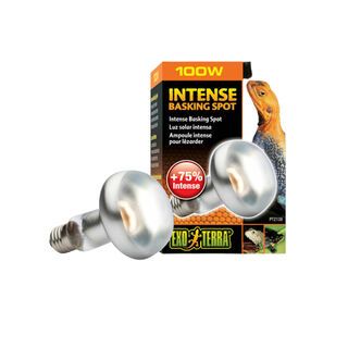 Exo Terra Intense Basking Spot Lâmpada de luz solar