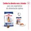 15 kg Royal Canin Maxi Adult 5+ ração para cães seniores de raça grande, , large Indicador imagem número 11