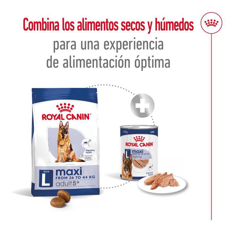 15 kg Royal Canin Maxi Adult 5+ ração para cães seniores de raça grande,  Imagem número 11 15 kg Royal Canin Maxi Adult 5+ ração para cães seniores de raça grande, , large Imagem número 11