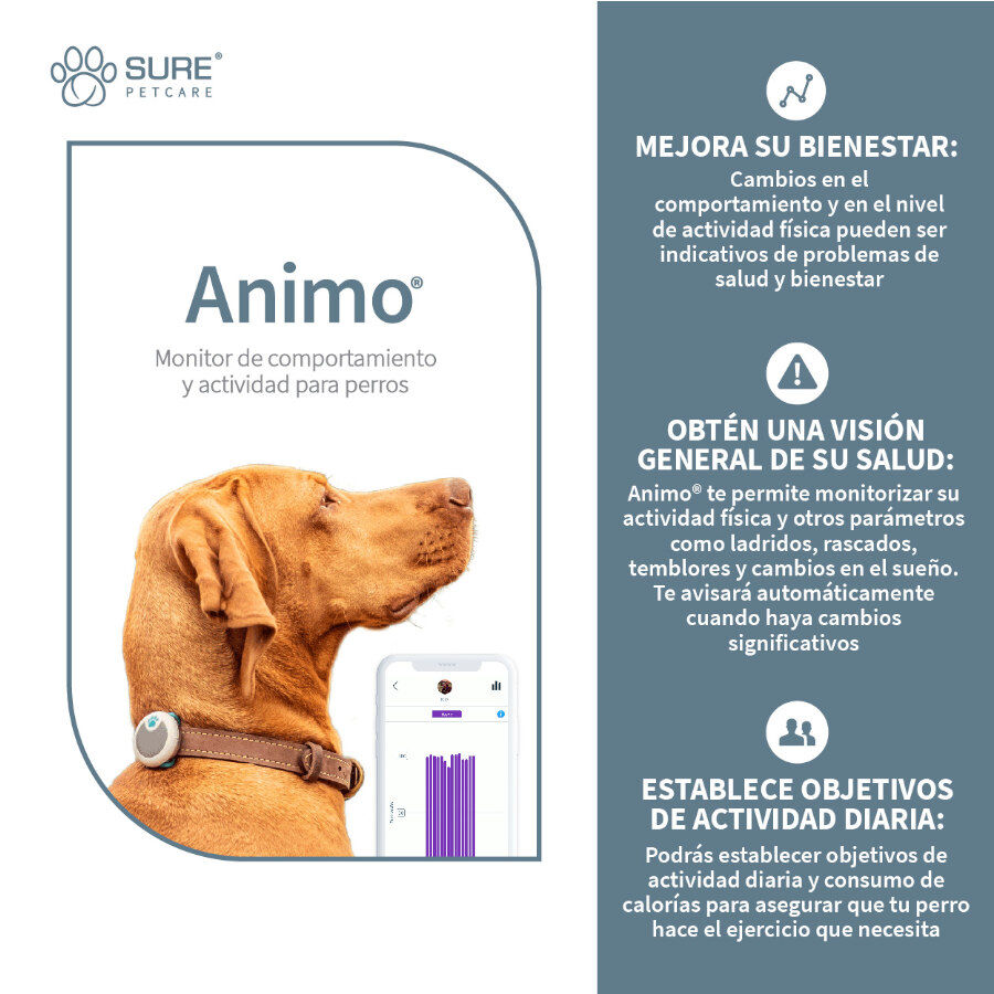 Sure Petcare Animo Monitor comportamental para c&atilde;es, , large Imagem n&uacute;mero 4