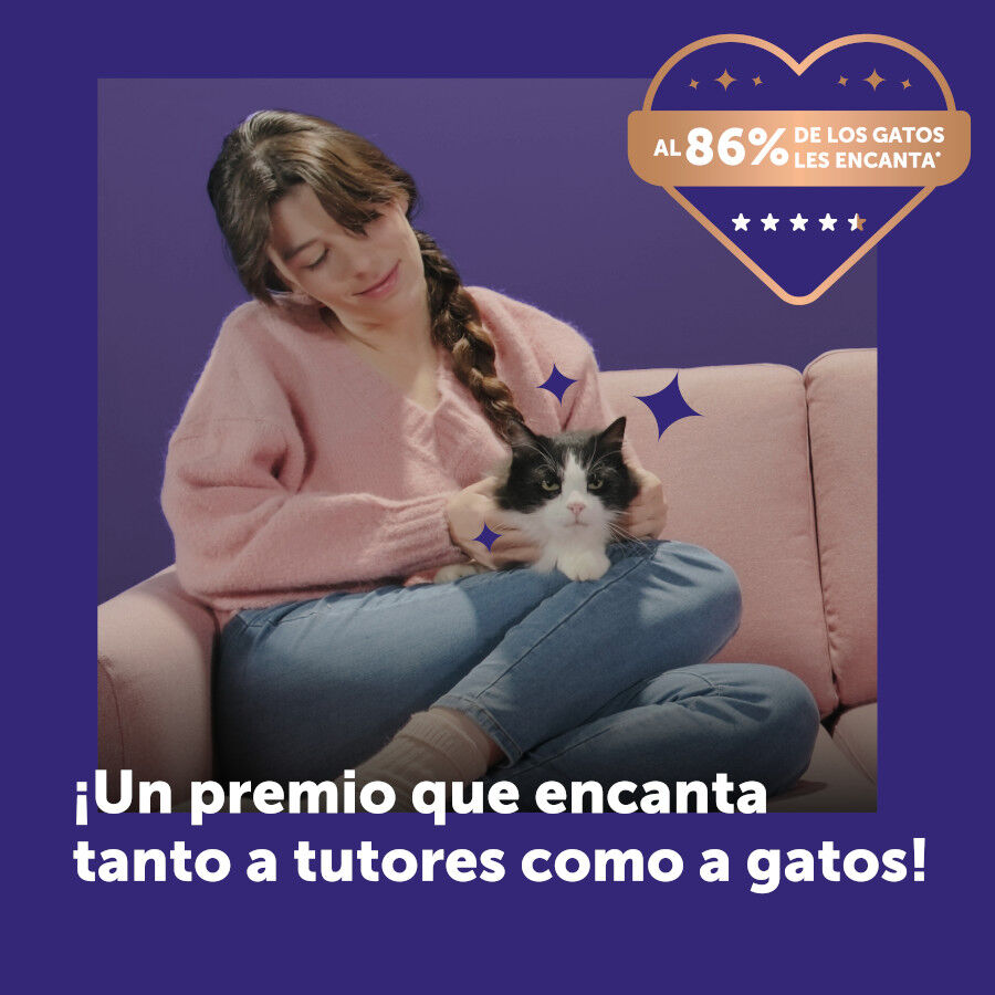 6 barritas Feliway Ceva Happy Snacks de Salm&atilde;o para gatos, , large Imagem n&uacute;mero 8