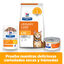 8 kg Hill's Prescription Diet Urinary Care Frango ra&ccedil;&atilde;o para gatos, , large Indicador imagem n&uacute;mero 9