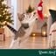 Wonder Christmas Teaser Pai Natal Brinquedo para gatos, , large Indicador imagem n&uacute;mero 2