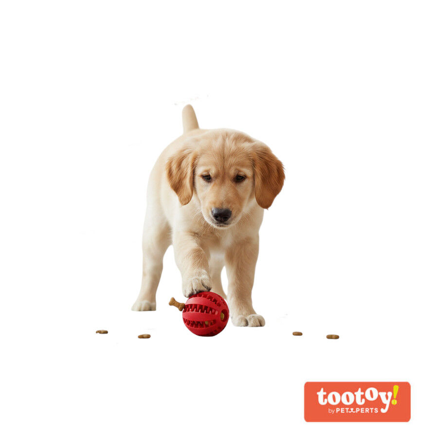 Tootoy! Chew Brinquedo interativo dispensador de snacks para c&atilde;es, , large Imagem n&uacute;mero 8