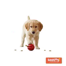 Tootoy! Chew Brinquedo interativo dispensador de snacks para c&atilde;es