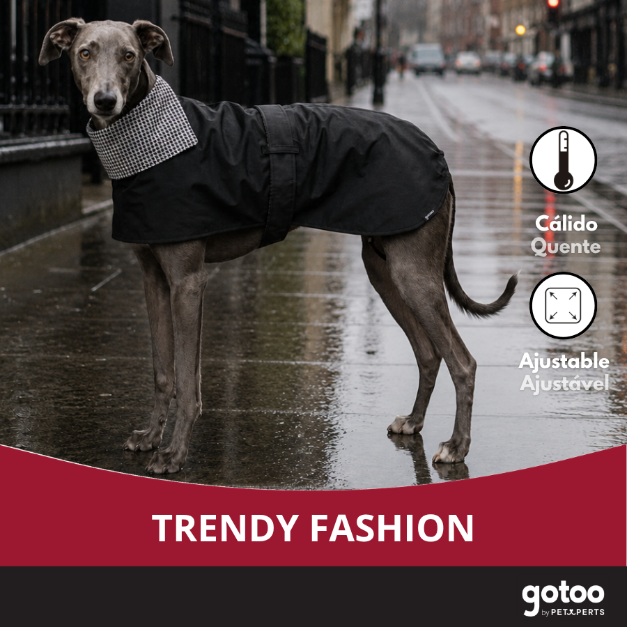 Gotoo Casaco Tipo Gabardina para galgos, , large Imagem n&uacute;mero 6