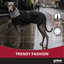 Gotoo Casaco Tipo Gabardina para galgos, , large Indicador imagem n&uacute;mero 6