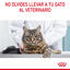 48 saquetas x 85 g Royal Canin Hairball Care Saquetas em Gelatina para gatos Pack poupança!, , large Indicador imagem número 3