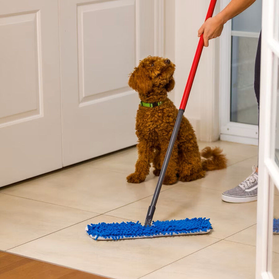 Vileda Pet Pro Flip Mop Mopa de limpeza para c&atilde;es, , large Imagem n&uacute;mero 4