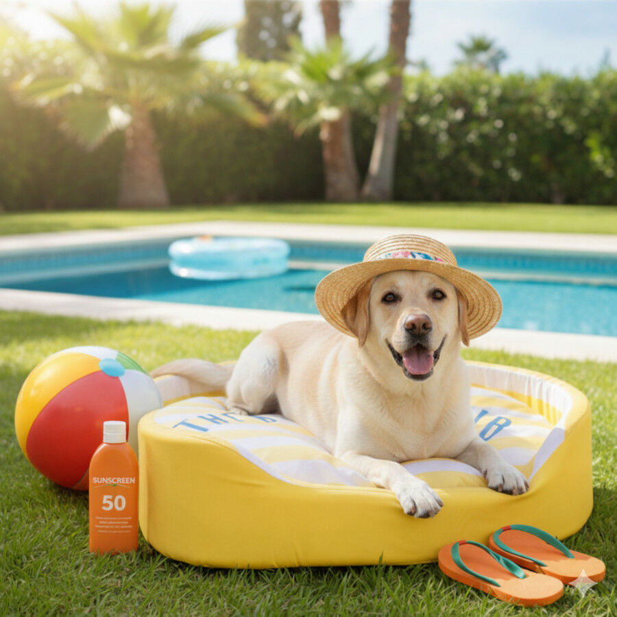 Summer Vibes Cool Bed Dolce Vita Cama Refrescante para c&atilde;es, , large Imagem n&uacute;mero 1