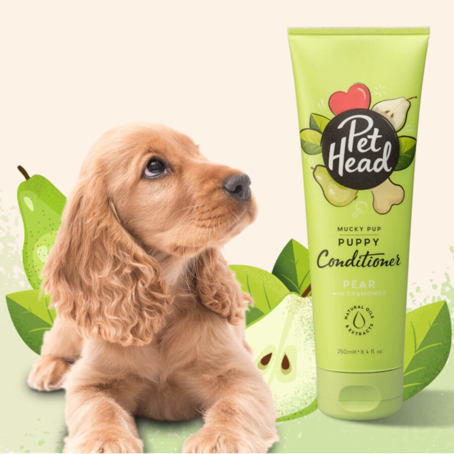 Pet Head Acondicionador p&ecirc;ra para cachorros 300ml, , large Imagem n&uacute;mero 2