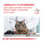 2 x 4 kg Royal Canin Veterinary Gastrointestinal ração para gatos  Pack poupança!, , large Indicador imagem número 8