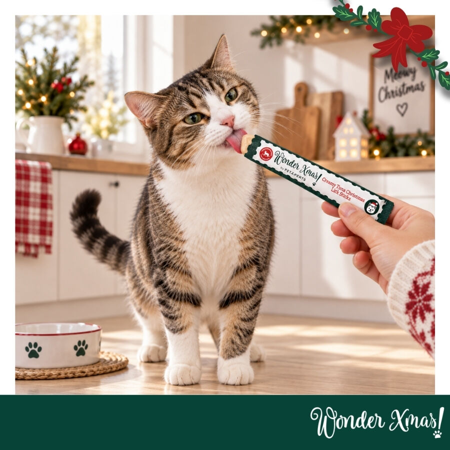 14 g Wonder Christmas Snack l&iacute;quido de atum para gatos, , large Imagem n&uacute;mero 1
