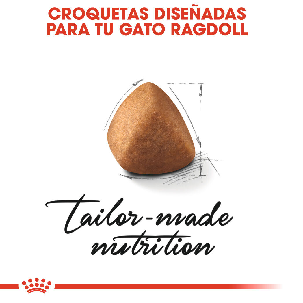 2 kg Royal Canin Adult Ragdoll ra&ccedil;&atilde;o para gatos, , large Imagem n&uacute;mero 3