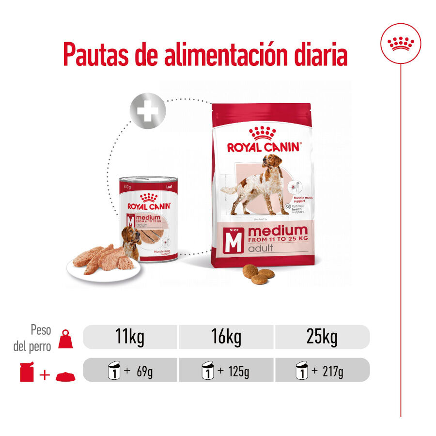 410 g Royal Canin Medium Adult Pat&ecirc; em lata para c&atilde;es, , large Imagem n&uacute;mero 6