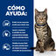 12 saquetas x 85 g Hill's Prescription Diet Metabolic Feline Saquetas - Multipack, , large Indicador imagem n&uacute;mero 10