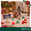 Wonder Christmas Calend&aacute;rio do Advento para c&atilde;es, , large Indicador imagem n&uacute;mero 2