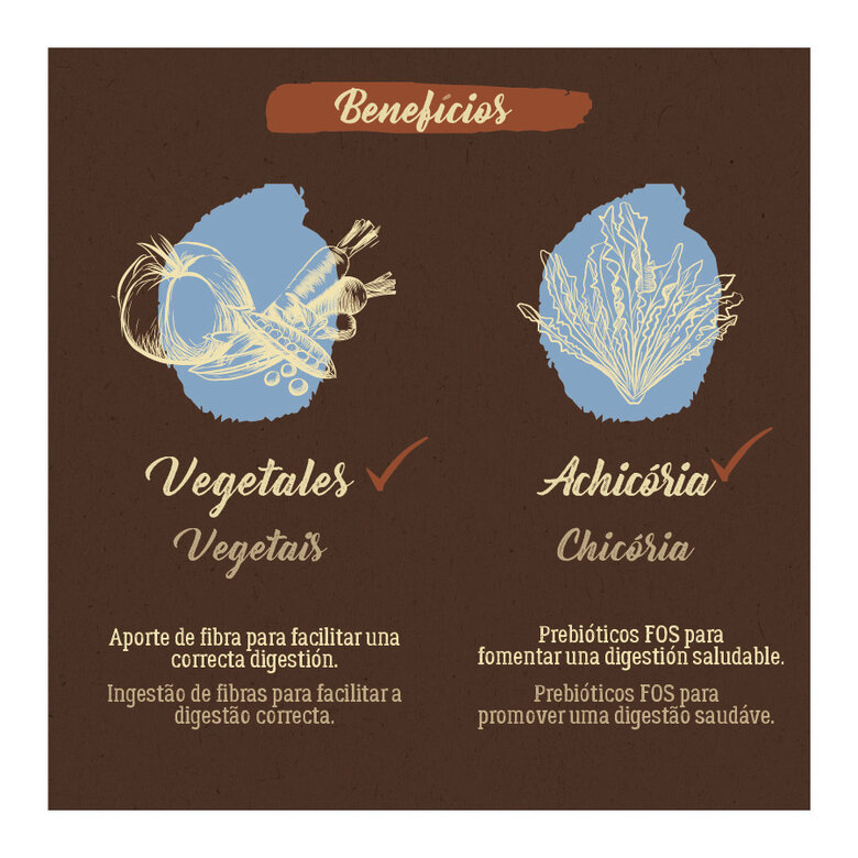 3 kg True Origins Pure Grain Free Adult Mini Salmão ração para cães,  Imagem número 5 3 kg True Origins Pure Grain Free Adult Mini Salmão ração para cães, , large Imagem número 5