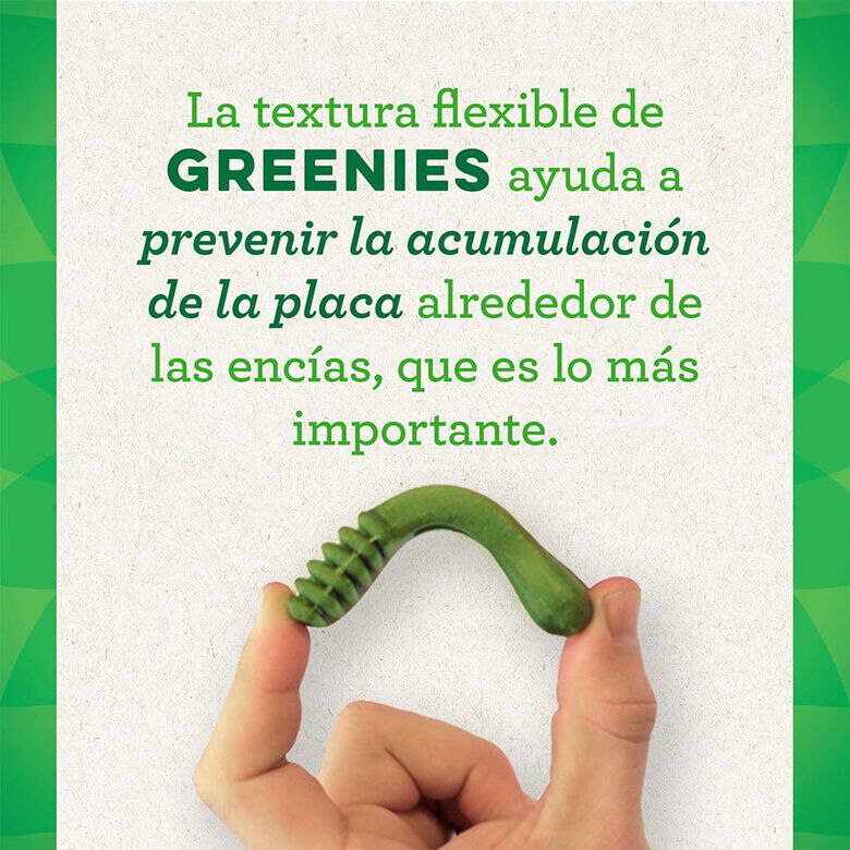 6 sticks Greenies Snacks Dent&aacute;rios 100% Natural Grain Free para c&atilde;es m&eacute;dios, , large Imagem n&uacute;mero 4