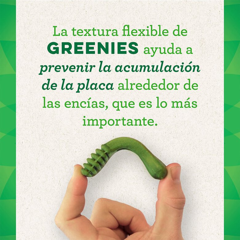 6 sticks Greenies Snacks Dentários 100% Natural Grain Free para cães médios,  Imagem número 4 6 sticks Greenies Snacks Dentários 100% Natural Grain Free para cães médios, , large Imagem número 4