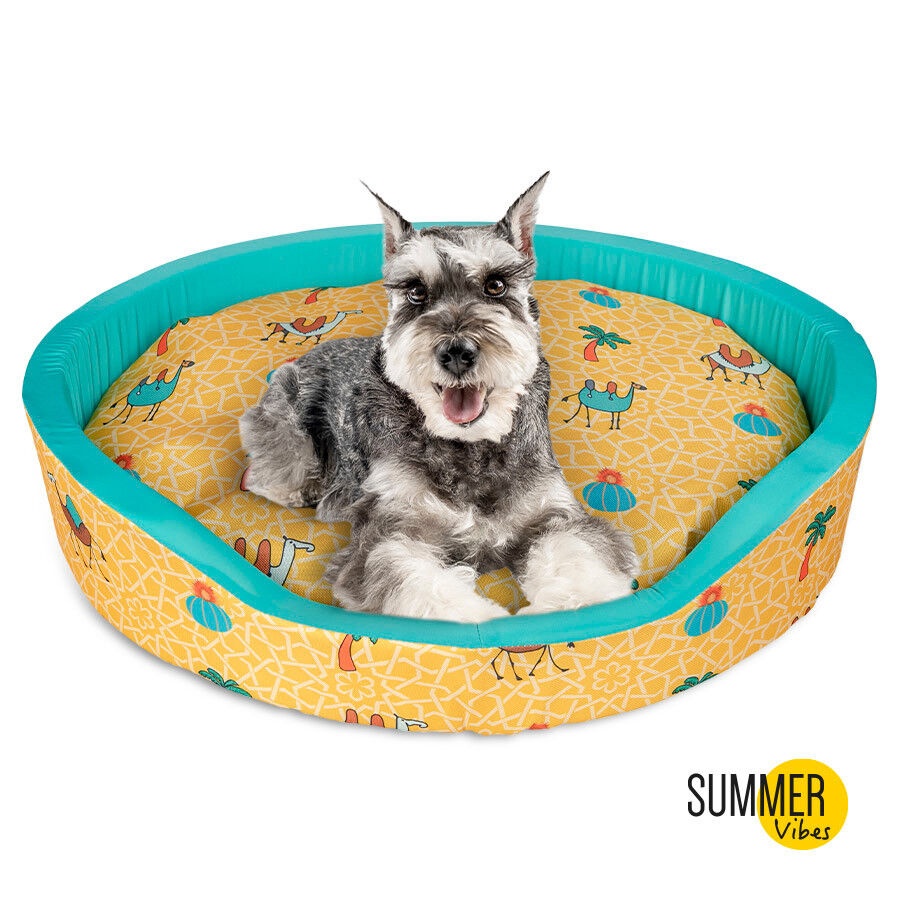 Cama de cachorro refrescante Summer Vibes Camel Fresh, , large Imagem n&uacute;mero 2