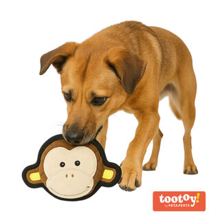 Tootoy! UResist Monkey Cuddler peluche resistente para cães