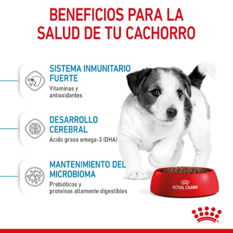 Royal Canin Mini Puppy image number null