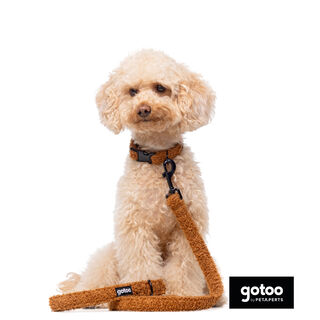 Gotoo Trela veludo castanha para cães
