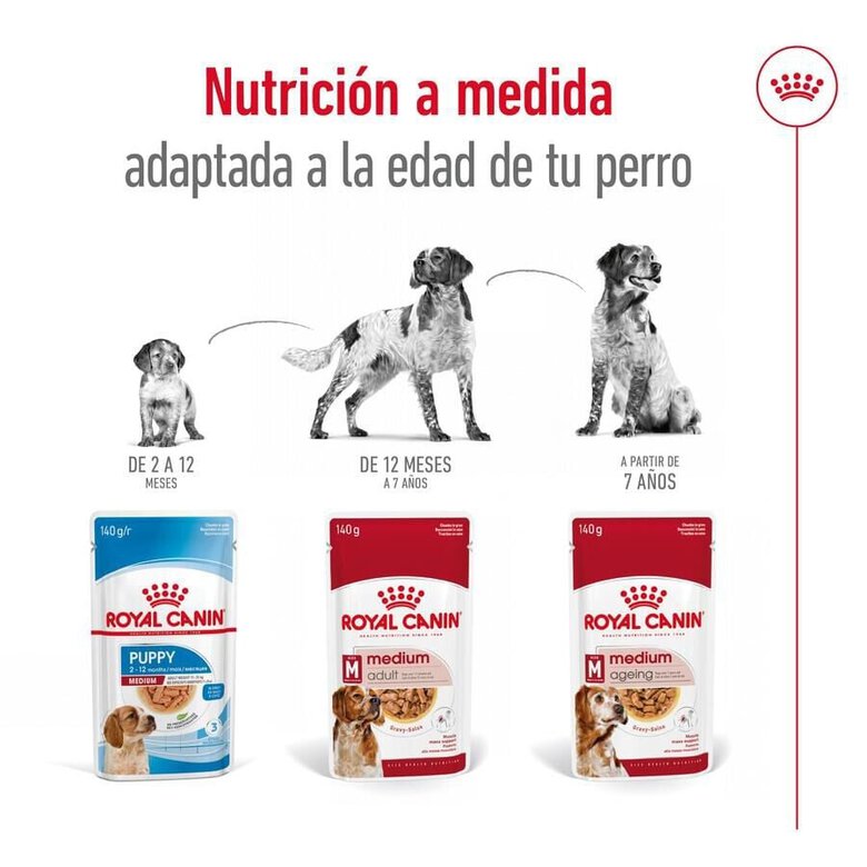 140 g Royal Canin Medium Adult saquetas em molho para cães,  Imagem número 5 140 g Royal Canin Medium Adult saquetas em molho para cães, , large Imagem número 5