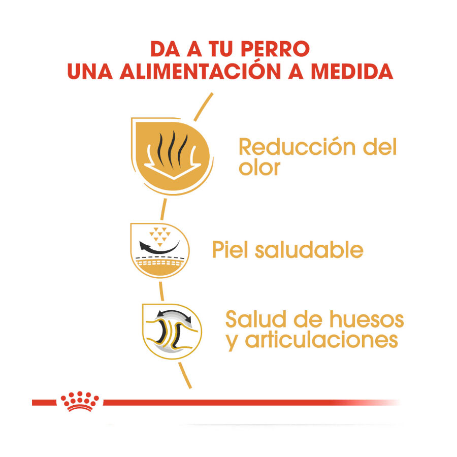 12 kg Royal Canin Adult Bulldog ra&ccedil;&atilde;o para c&atilde;es de ra&ccedil;a, , large Imagem n&uacute;mero 6