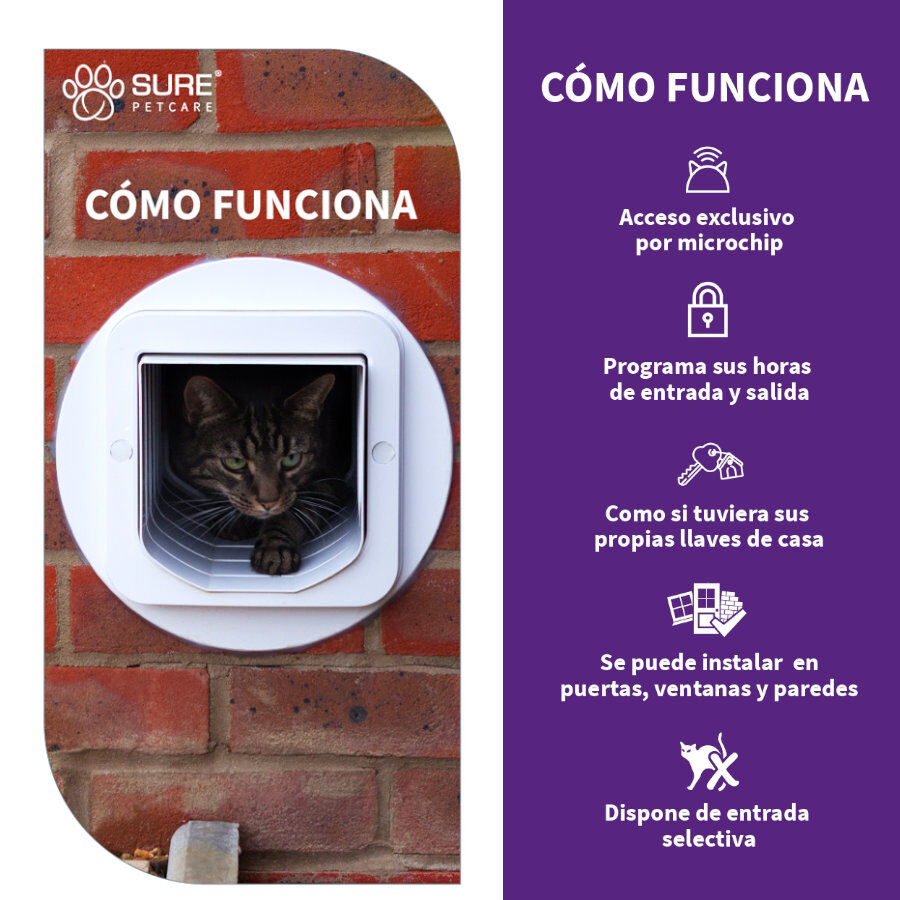 Sure Petcare SureFlap Porta Autom&aacute;tica Branca com Microchip , , large Imagem n&uacute;mero 3
