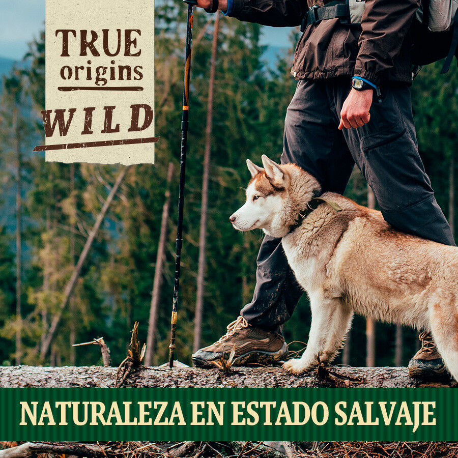True Origins Wild Es&oacute;fago Cerdo 15 cm Snack para perros, , large Imagem n&uacute;mero 7